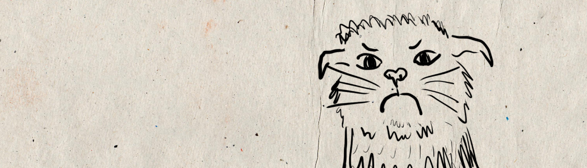 An black ink drawing of a cat who has been caught out in the rain. He has an angry expression.