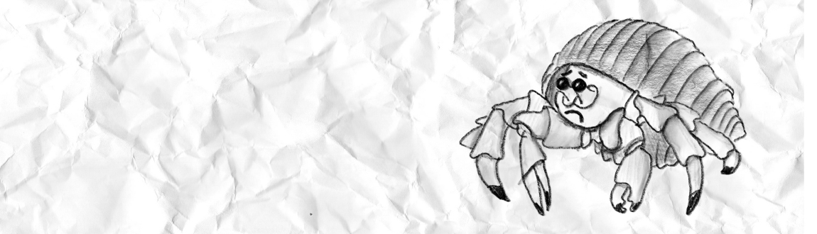 A pencil drawing of a hermit crab. He looks nervous.